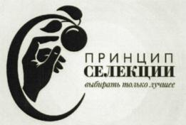 Изображение товарного знака (изобразительный знак)