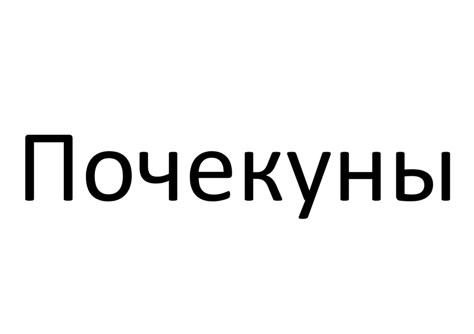 (изобразительный знак)