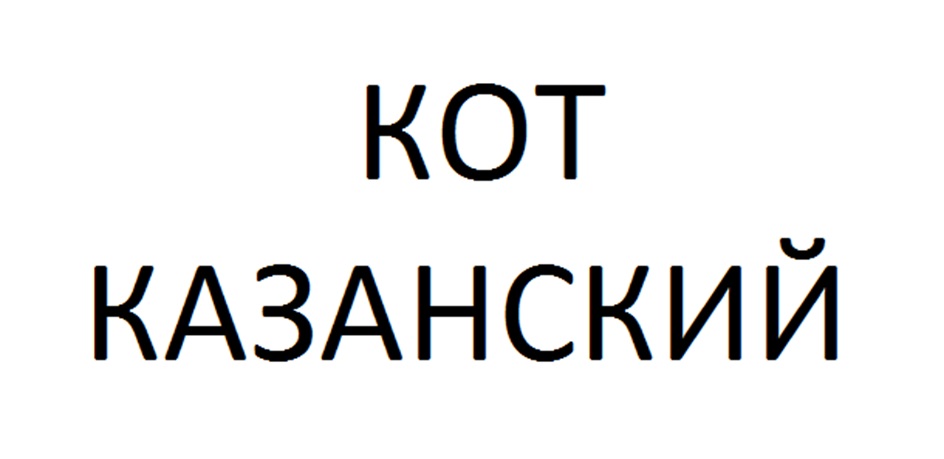КОТ КАЗАНСКИЙ