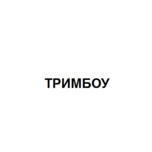 Изображение товарного знака (изобразительный знак)