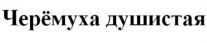 Изображение товарного знака (изобразительный знак)