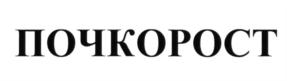 Изображение товарного знака (изобразительный знак)