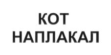Изображение товарного знака КОТ НАПЛАКАЛ