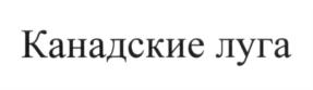 Изображение товарного знака (изобразительный знак)