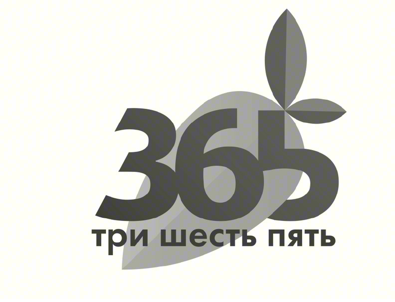 365 три шесть пять