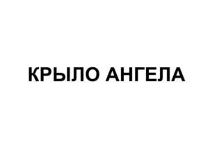 (изобразительный знак)