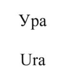 (изобразительный знак)