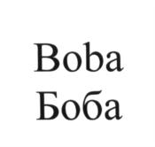 (изобразительный знак)