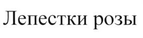 (изобразительный знак)