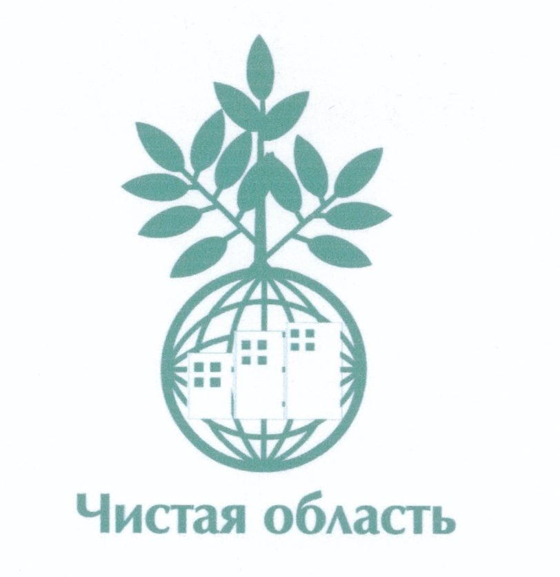 Чистая область