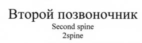 Изображение товарного знака (изобразительный знак)