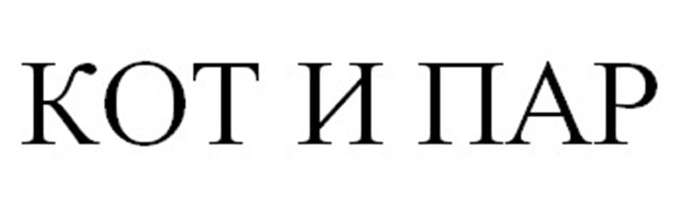 КОТ И ПАР