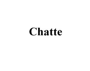 Chatte