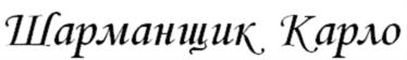 (изобразительный знак)