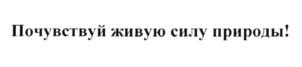 (изобразительный знак)