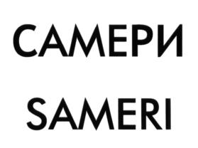 (изобразительный знак)