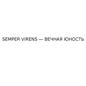 Изображение товарного знака (изобразительный знак)