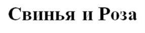 Изображение товарного знака (изобразительный знак)