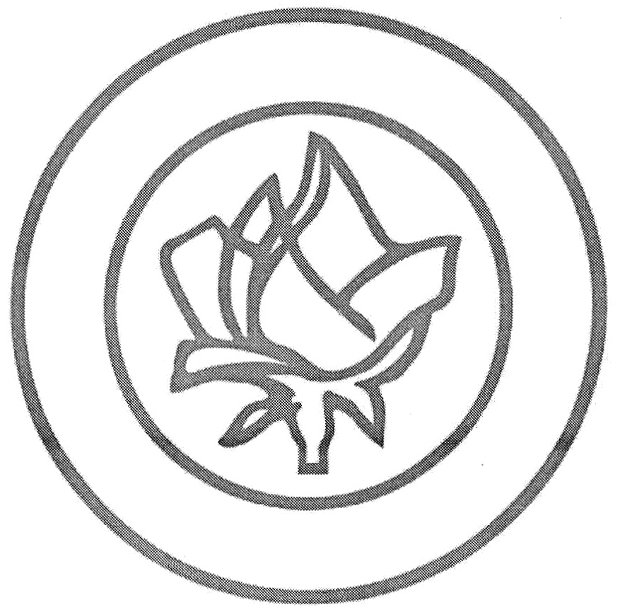 (изобразительный знак)