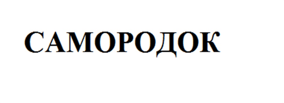 Изображение товарного знака (изобразительный знак)