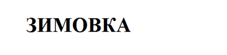 (изобразительный знак)