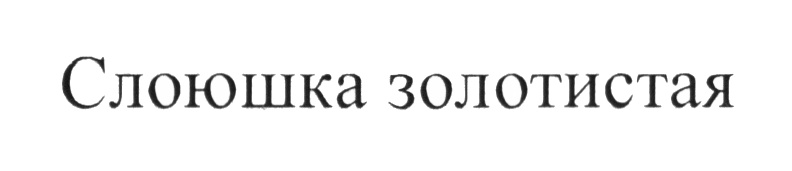 Изображение товарного знака (изобразительный знак)
