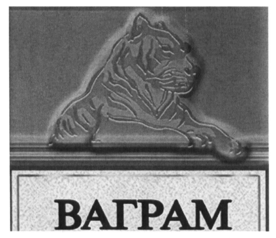 (изобразительный знак)