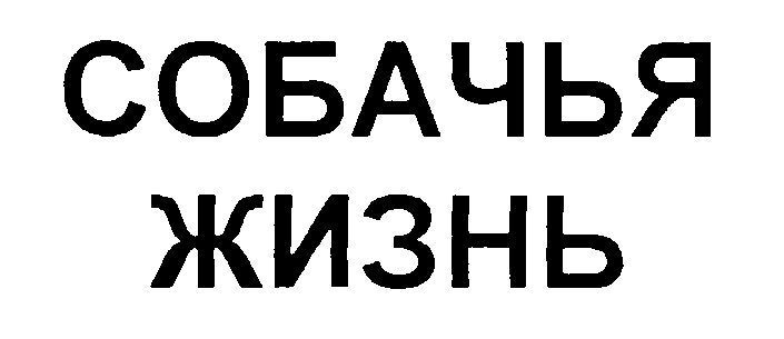 СОБАЧЬЯ ЖИЗНЬ