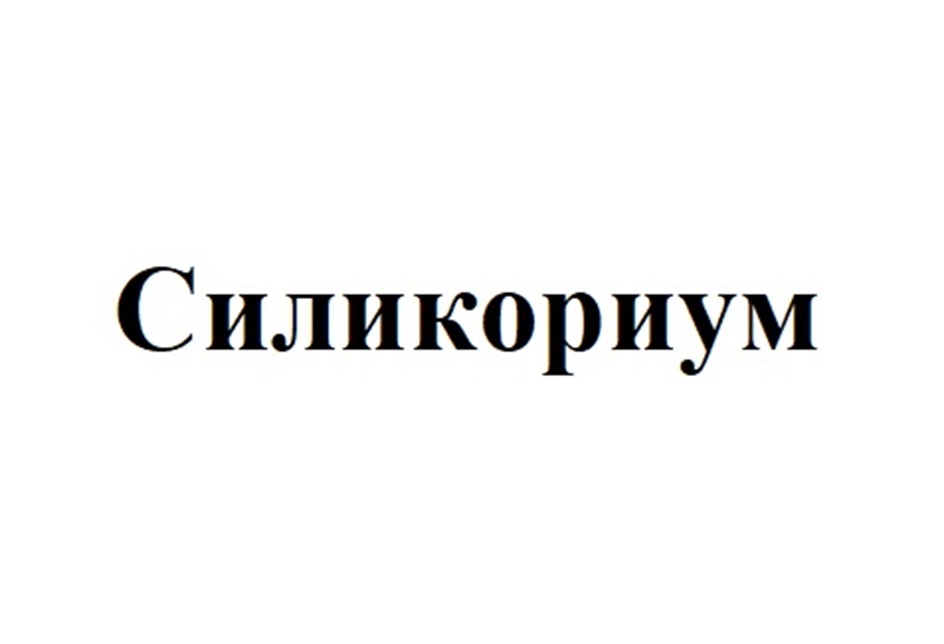 Силикориум