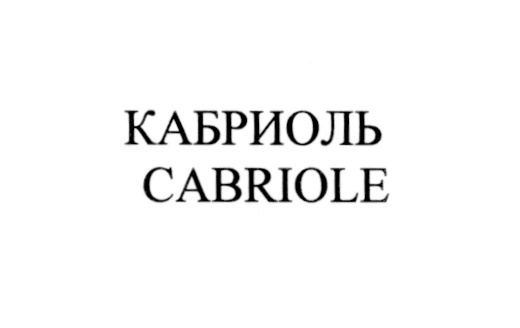 (изобразительный знак)