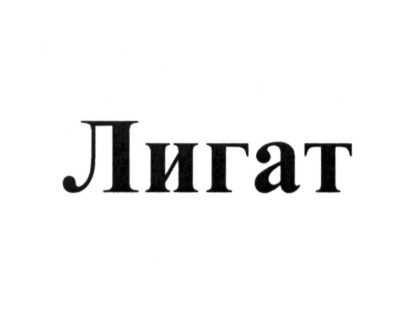 (изобразительный знак)