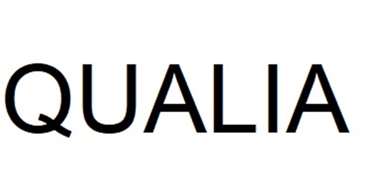 QUALIA