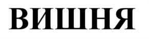 (изобразительный знак)