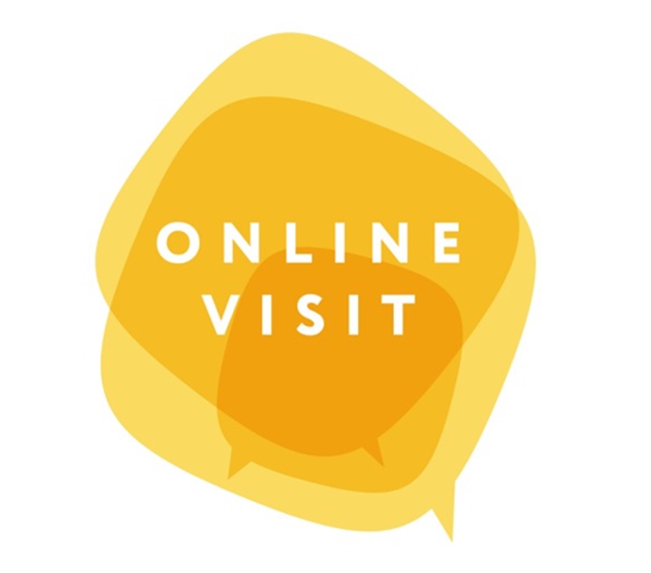 Изображение товарного знака ONLINE VISIT