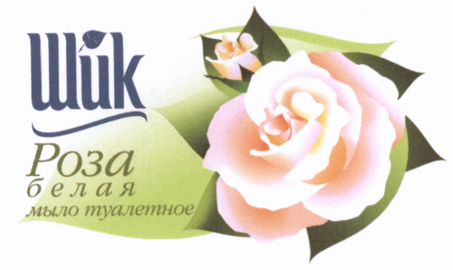 Изображение товарного знака (изобразительный знак)