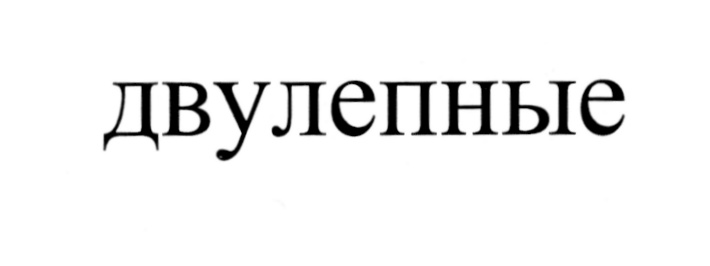 (изобразительный знак)