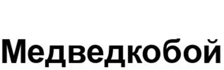 Медведкобой