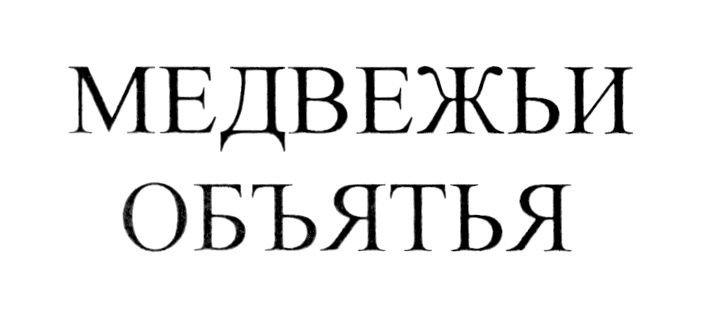 (изобразительный знак)