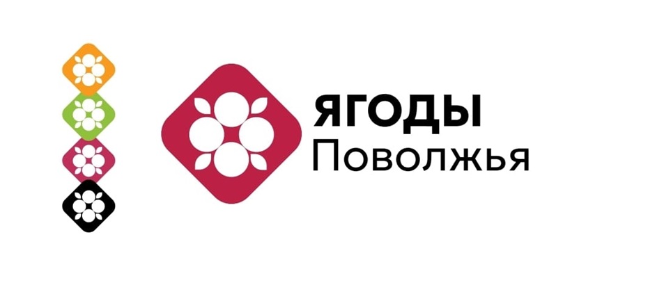 ЯГОДЫ Поволжья
