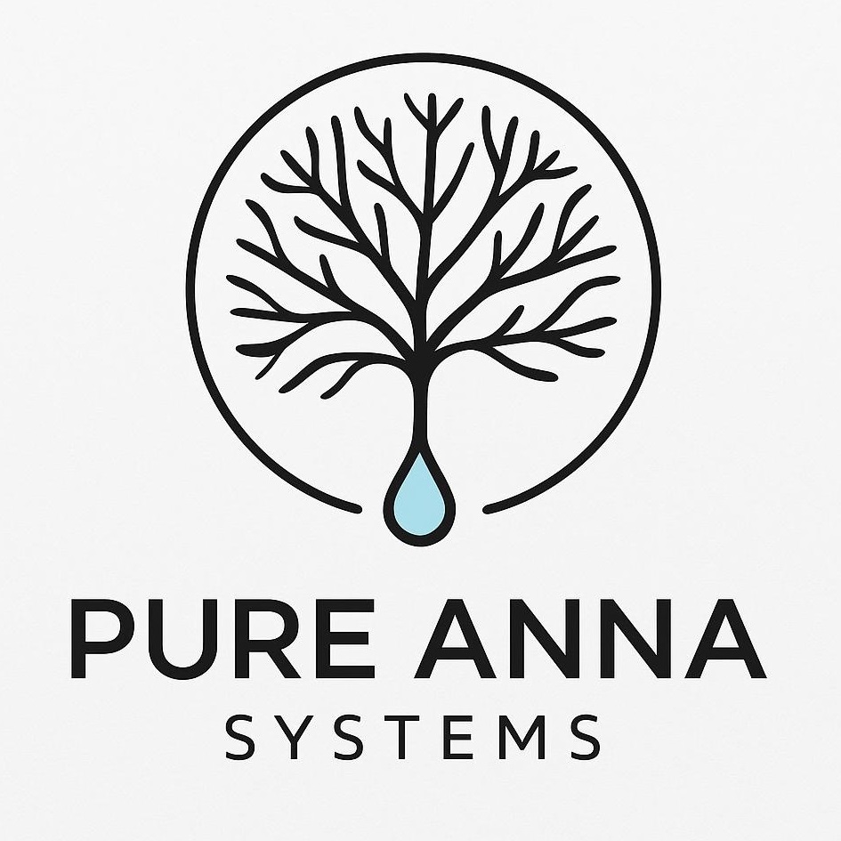 Изображение товарного знака PURE ANNA SYSTEMS