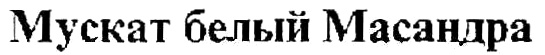 (изобразительный знак)