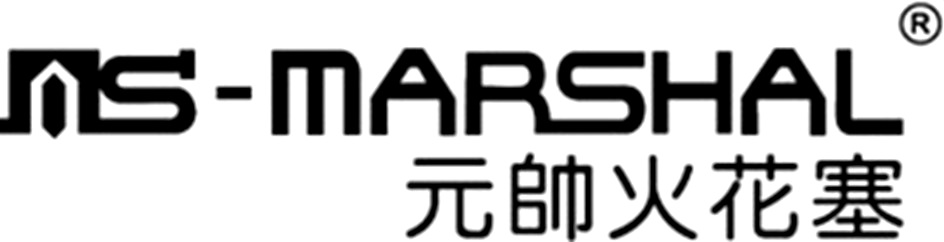 NS-MARSHAL 元帅火花塞