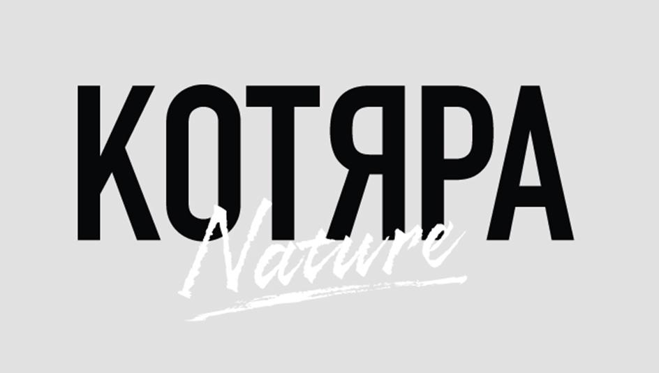 Изображение товарного знака (изобразительный знак)