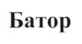 (изобразительный знак)