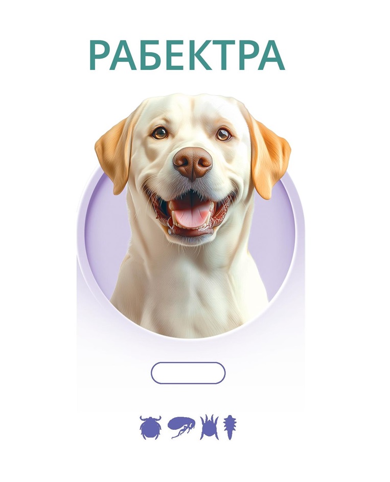 Изображение товарного знака (изобразительный знак)