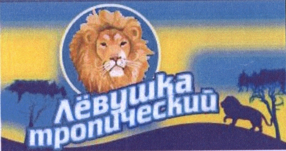 Изображение товарного знака (изобразительный знак)