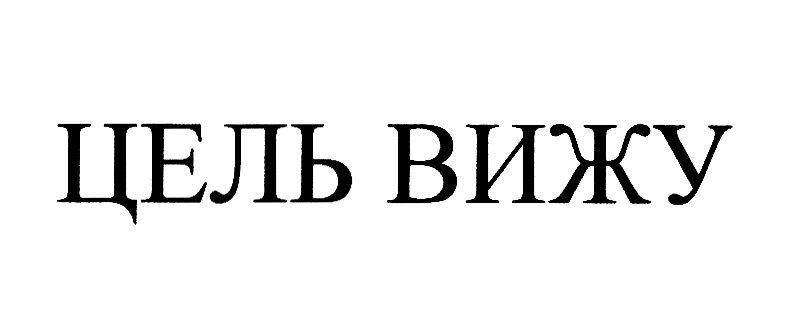 ЦЕЛЬ ВИЖУ