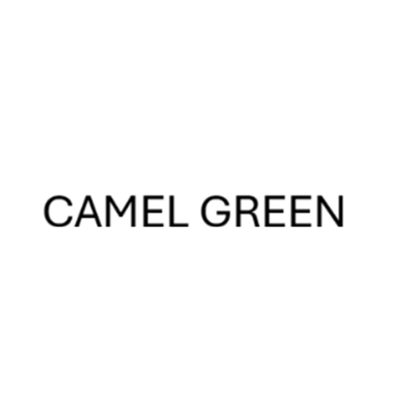 CAMEL GREEN
