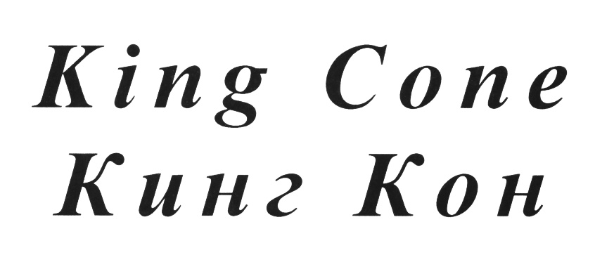 Изображение товарного знака (изобразительный знак)