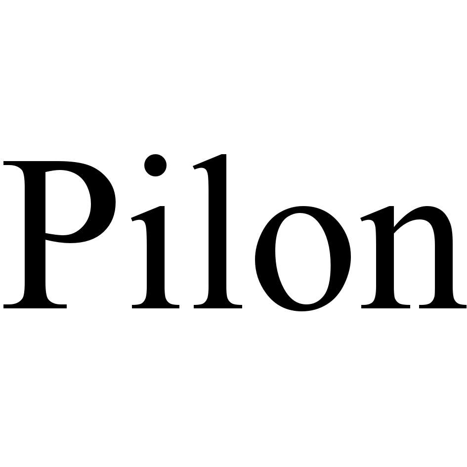 Pilon
